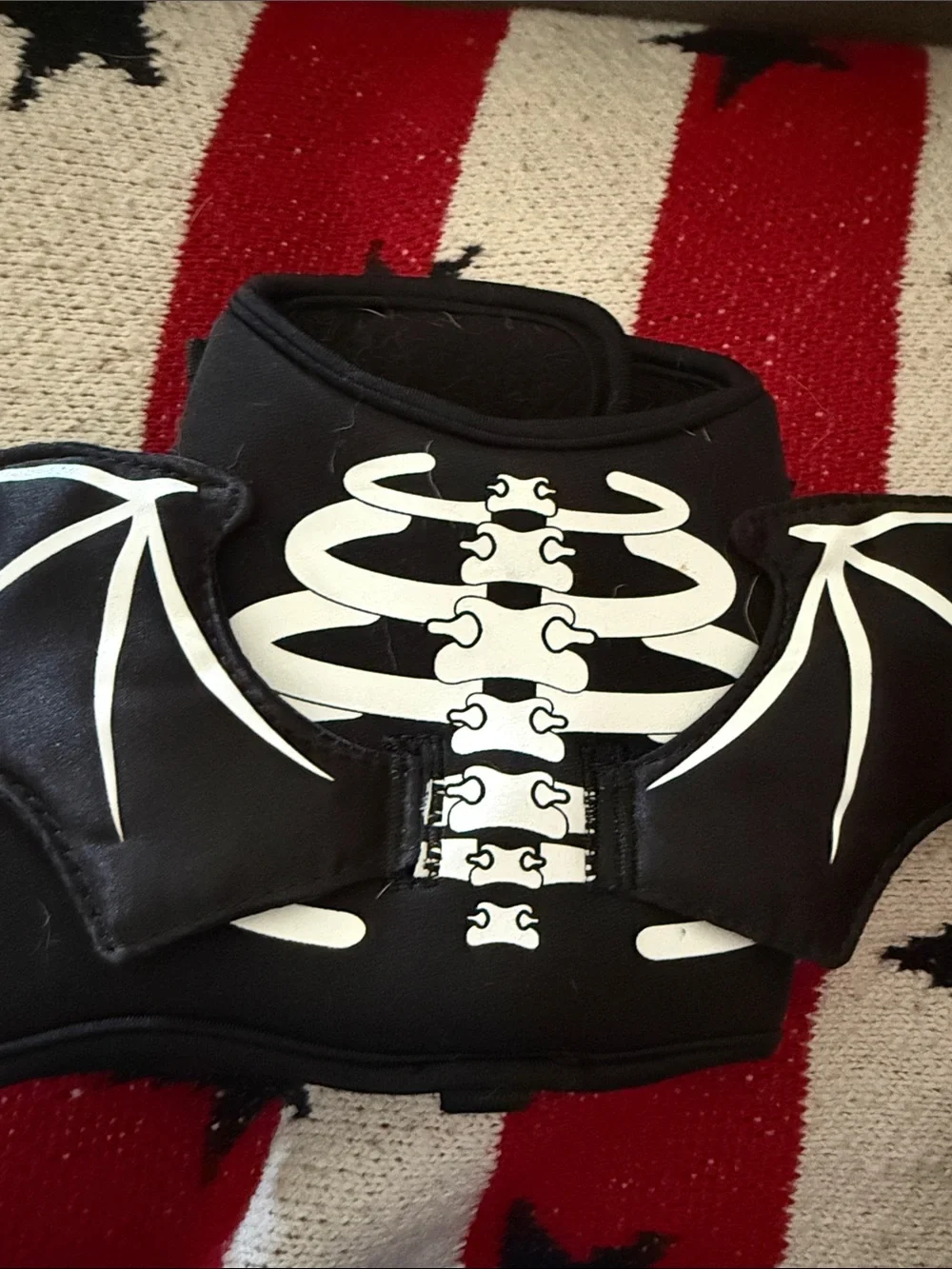 Spooky Bat Skeleton Dog Harness – Perfect for Halloween!